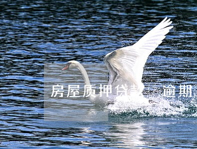 房屋质押贷款 逾期 房屋质押贷款 逾期